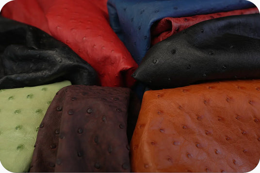 Genuine ostrich skin for luxury exotic leather collections. Expert sourcing and craftsmanship by Hiram Beron Bespoke boutique factory.