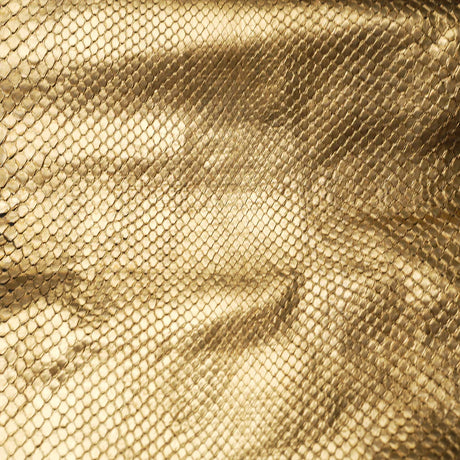 Close-up for gold snake skin