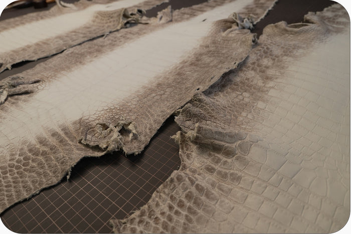 France Genuine himalaya crocodile skin for luxury exotic leather collections. Expert sourcing and craftsmanship by Hiram Beron boutique factory.